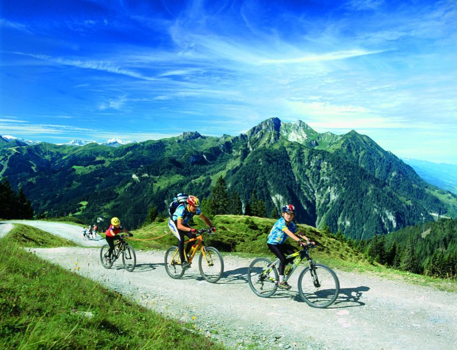 Pension Hochkoenigblick ซังค์โยฮันน์อิมพองเกา ภายนอก รูปภาพ